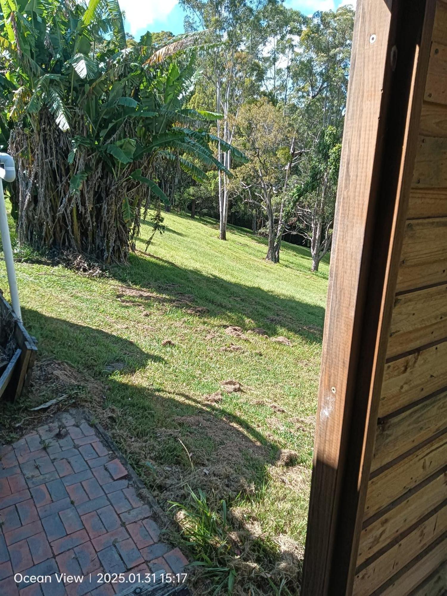Cabins @ The View Ocean View Bagian luar foto
